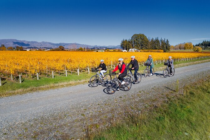 Full-Day Marlborough Wine Region Bike Hire - An afternoon of flexible tastings