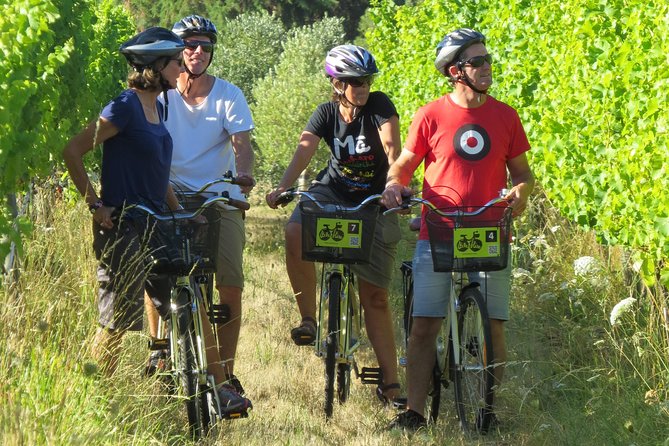 Full-Day Marlborough Wine Region Bike Hire - Why the flat cycling route works so well