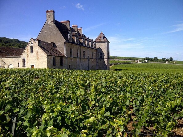 Full-day Private Burgundy Wine Route Tour from Beaune - Key points to know