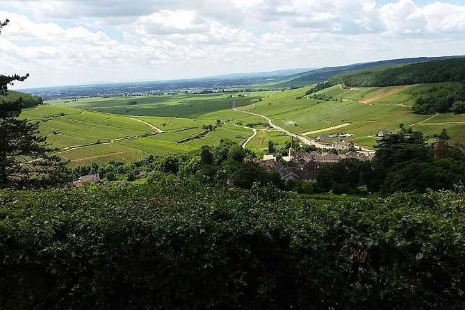 Full-day Private Burgundy Wine Route Tour from Beaune - Château du Clos de Vougeot and its medieval presses