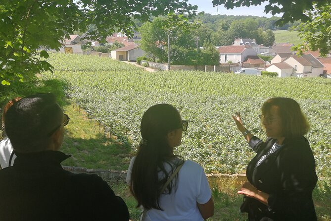 Full-Day Private Champagne Tasting in Reims and its Vineyards - Reims begins with a quick city orientation