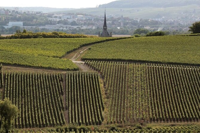 Full-Day Private Champagne Tasting in Reims and its Vineyards - Lunch at Bezannes is polished, but not rustic