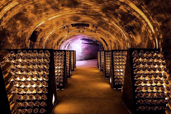 Full-Day Private Champagne Tasting in Reims and its Vineyards - Mailly-Champagne brings you into the vineyards