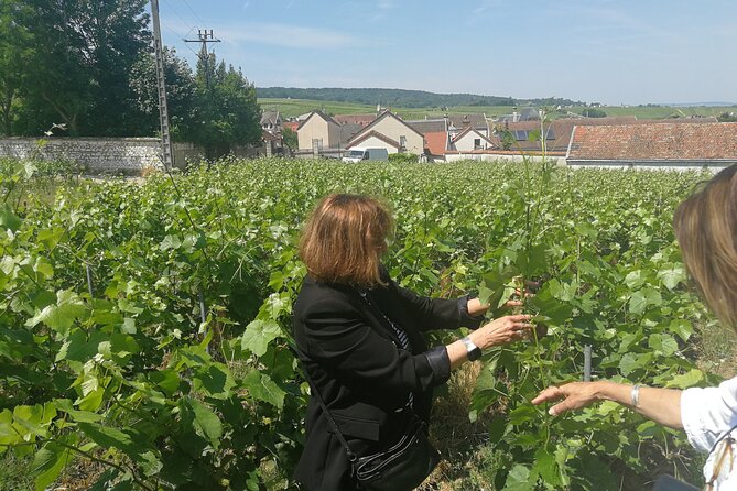 Full-Day Private Champagne Tasting in Reims and its Vineyards - A private format helps, but it does not remove the fixed schedule