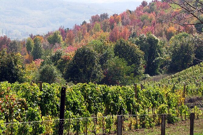 Full-Day Private Royal Heritage Tour to Oplenac With a Winery Visit - The Royal Wine Tradition at Aleksandrovic