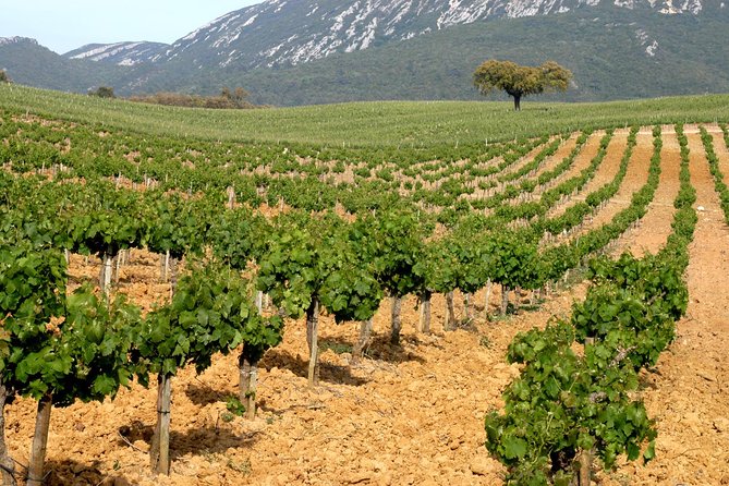 Full Day Private Tour - Arrábida Beaches and Azeitão Wine Region - Azeitão brings tiles, cheese, and Moscatel together