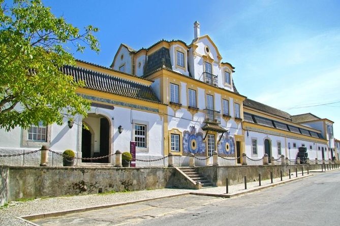 Full Day Private Tour - Arrábida Beaches and Azeitão Wine Region - Who will get the most from this tour
