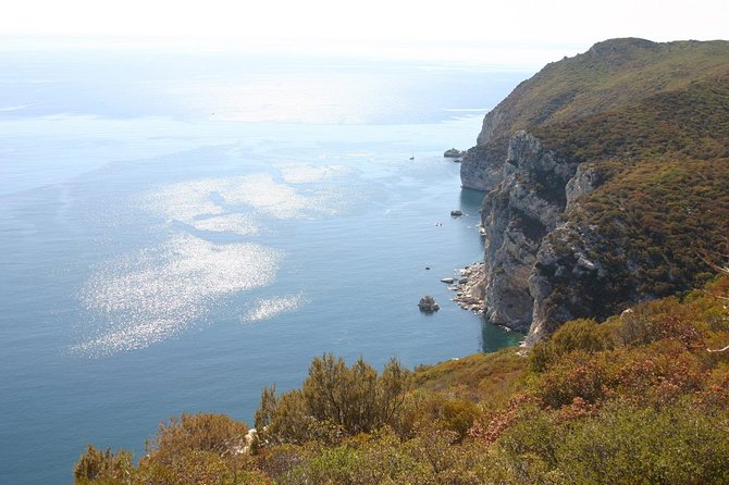 Full Day Private Tour - Arrábida Beaches and Azeitão Wine Region - Setúbal’s Livramento Market adds real local flavor