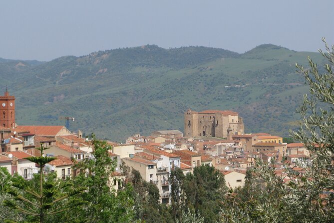 Full Day Private Tour in Medieval Villages and Vineyard in Cefalù - Fiasconaro: panettone in a Sicilian setting