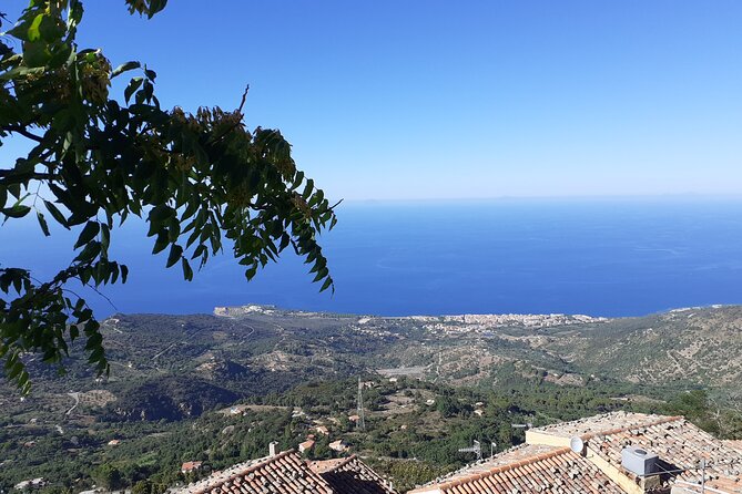 Full Day Private Tour in Medieval Villages and Vineyard in Cefalù - The vehicle, guides, and private service