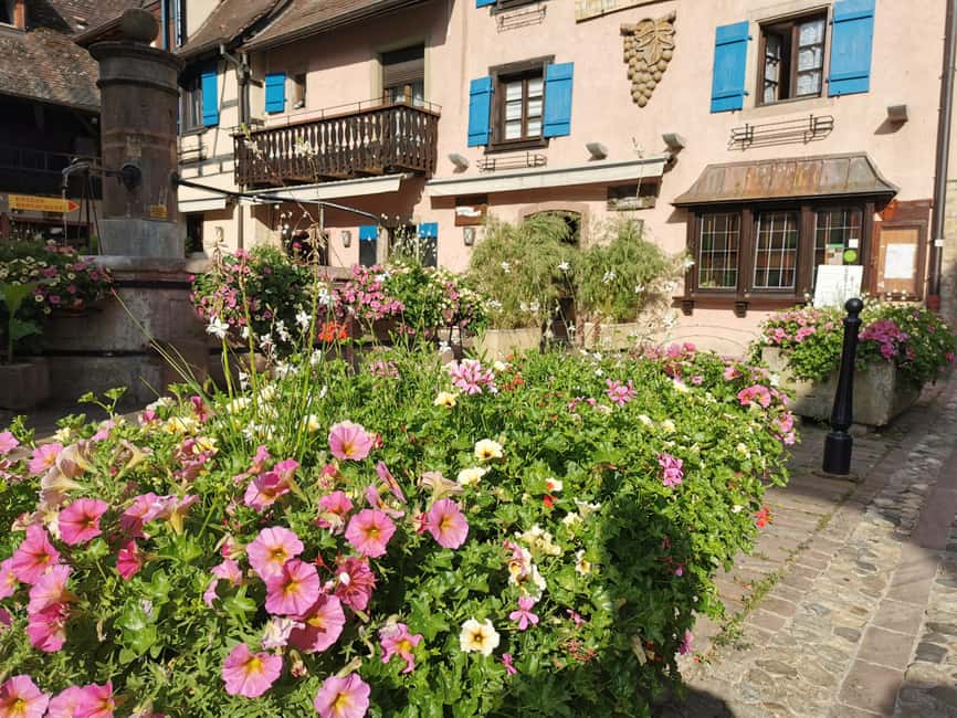 Full Day Safari Tour Villages & Vineyards Wine tasting - Key things to know before you book