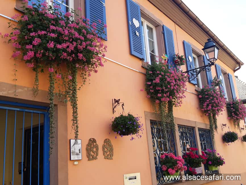 Full Day Safari Tour Villages & Vineyards Wine tasting - Meeting a winemaker in a family-owned cellar