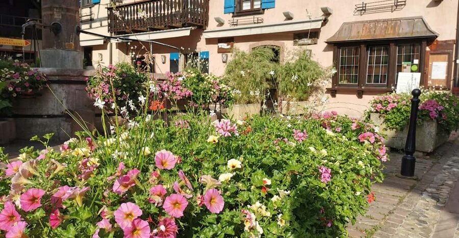 Full Day Safari Tour Villages & Vineyards Wine tasting - A traditional village away from the headline stops