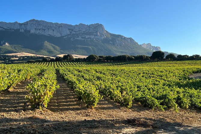 Full Day Tasting The Unknown Rioja Wine Region - Three Rioja styles at Hermanos Pecina