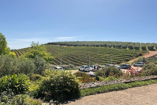 Full Day Tour to Wine Estates Stellenbosch, Franschhoek and Paarl - Starting at the Two Oceans Aquarium
