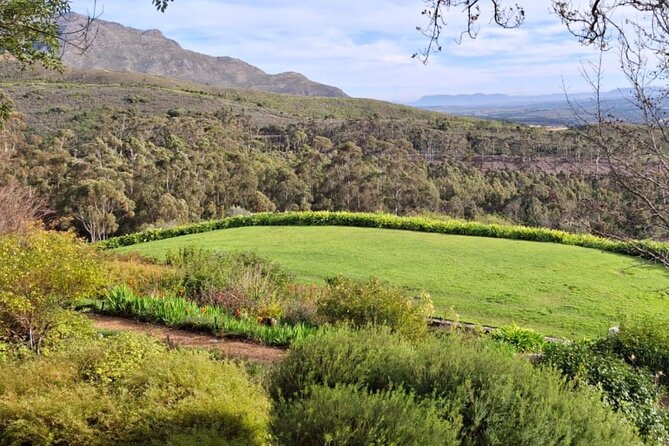 Full Day Tour to Wine Estates Stellenbosch, Franschhoek and Paarl - Groot Drakenstein Prison and Nelson Mandela’s final prison stop