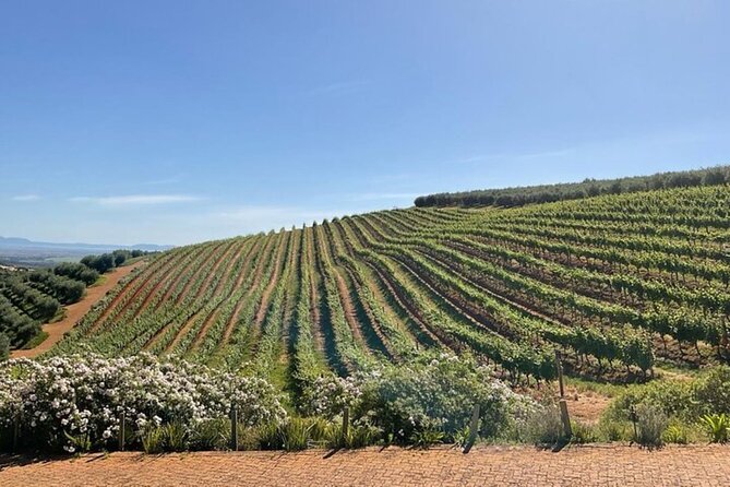 Full Day Tour to Wine Estates Stellenbosch, Franschhoek and Paarl - What is included, and where the value sits