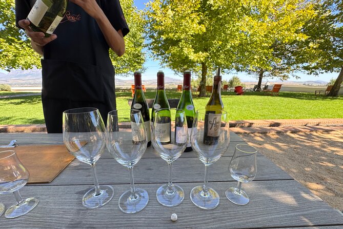 Full Day Tour to Wine Estates Stellenbosch, Franschhoek and Paarl - Stellenbosch: a historic town before the tasting rooms