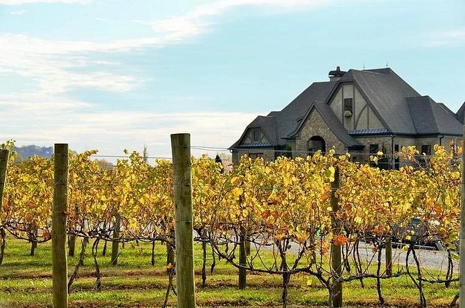 Full-Day Wine Country Wine Tastings From Atlanta - Timing, weather, and practical planning