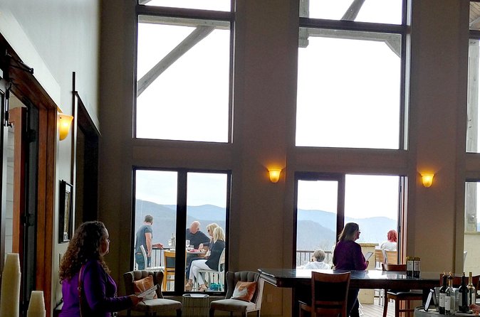 Full-Day Wine Country Wine Tastings From Atlanta - Who will enjoy this wine day most