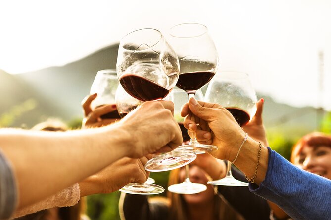 Full-Day Wine Tasting Tour in Auckland with 3-Course Vineyard Lunch - What the wine tastings can teach you