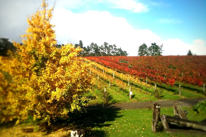 Full-Day Wine Tasting Tour in Auckland with 3-Course Vineyard Lunch - Who will enjoy this wine tour most