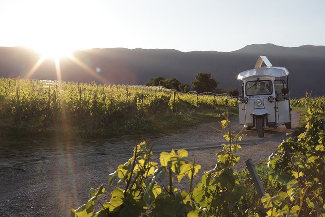 Geneva Panoramic & Tasting Vineyards Tour in an Tuk Tuk - Key points to know before booking