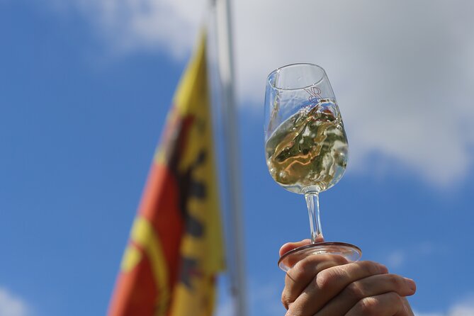 Geneva Panoramic & Tasting Vineyards Tour in an Tuk Tuk - Peissy and the vineyard views