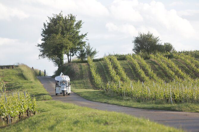 Geneva Panoramic & Tasting Vineyards Tour in an Tuk Tuk - What happens at the winery
