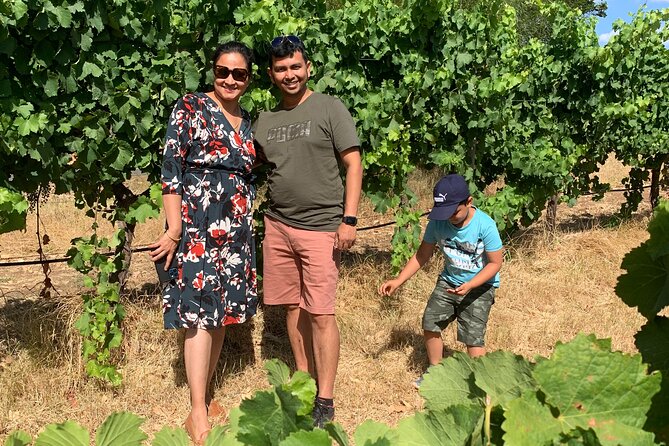 Geographe Wine Region Tour - Saint Aidan Wines has a distinctive cellar door