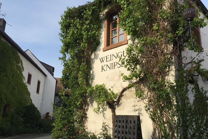 Get Pfalzed - wine tour to unique wine region to taste Red wines - Five things to know before you book