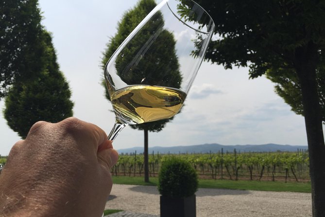Get Pfalzed - wine tour to unique wine region to taste Red wines - Winery visits and 25-plus pours