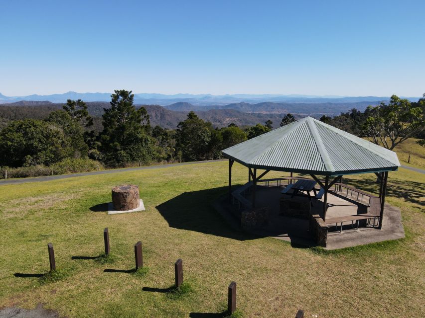 Gold Coast: Lamington Treetops, Wildlife and Vineyard Visit - Should you book it?