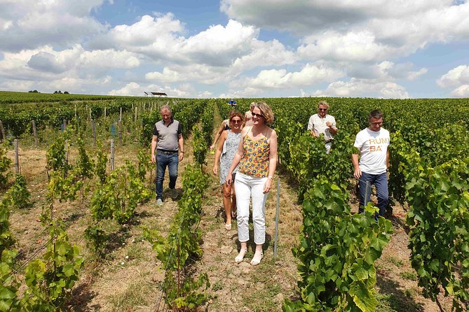 Gourmet walk in the heart of the vineyards with Champagne tasting near Epernay - Why this Champagne walk is different