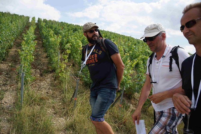 Gourmet walk in the heart of the vineyards with Champagne tasting near Epernay - Starting near Cumières and Épernay