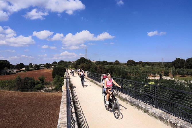 GPS tour with E-Bike on cycleroute of acqueduct Pugliese with wine tasting directly in vineyards - Trulli, cummerse, and the Valle d’Itria views