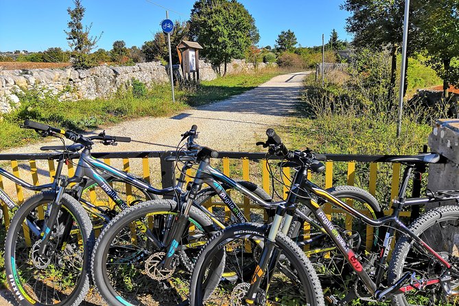 GPS tour with E-Bike on cycleroute of acqueduct Pugliese with wine tasting directly in vineyards - What the wine tasting is really like