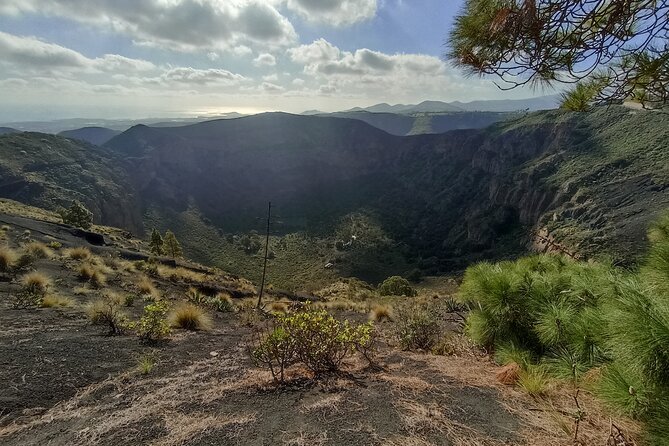Gran Canaria Premium Tour: Volcanoes and Wine for cruisers - Why this private Gran Canaria outing works for cruise passengers
