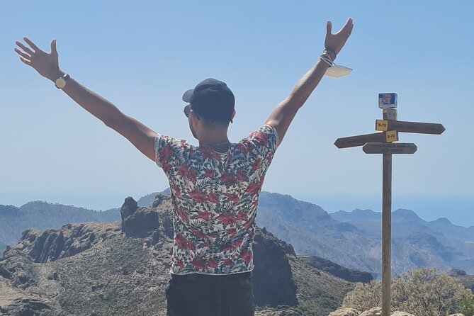 Gran Canaria Premium Tour: Volcanoes and Wine for cruisers - Who will enjoy this tour most?