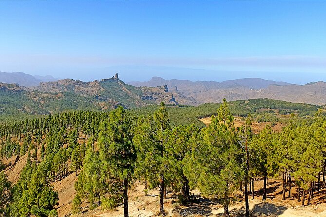 Gran Canaria Premium Tour: Volcanoes and Wine for cruisers - Bodega San Juan offers old tools and young wine