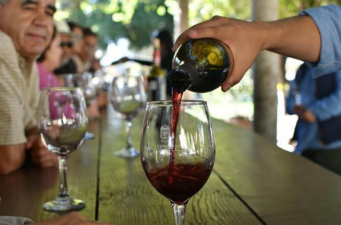 Grand Mexico Wine Country Tour from San Diego - The long day requires a little planning