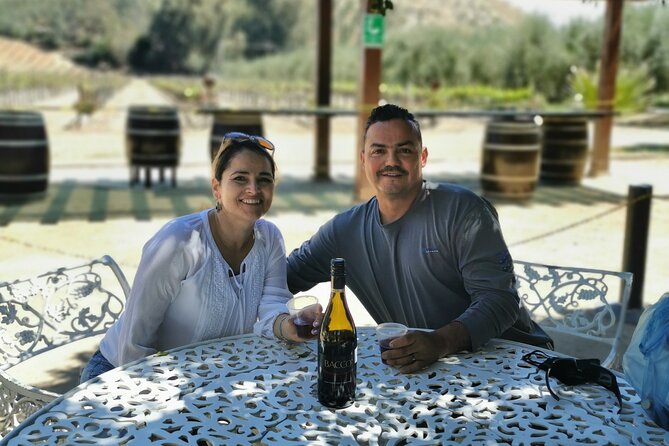 Grand Mexico Wine Country Tour from San Diego - Seven hours in Valle de Guadalupe