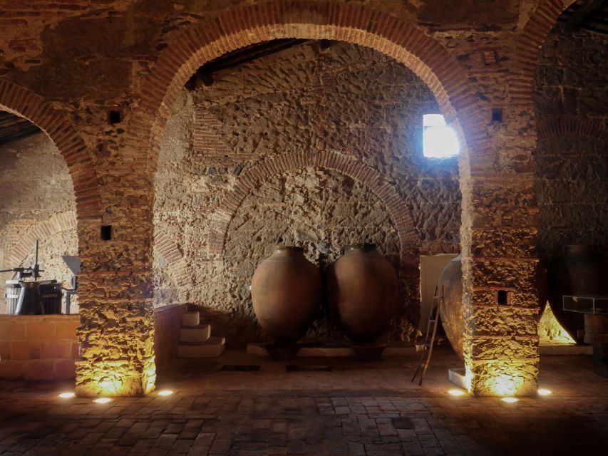 Grande Prova Honrado Vineyards - Why Talha wine matters in Alentejo