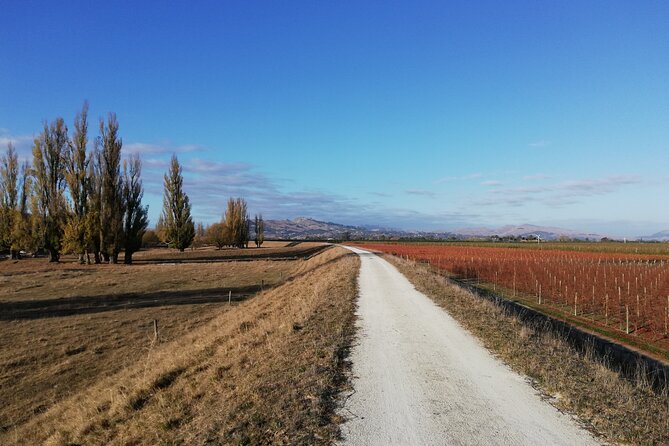 Great Escape Self-Guided Scenic Cycle Winery Tour from Napier - The coast, wetlands, and Star Compass