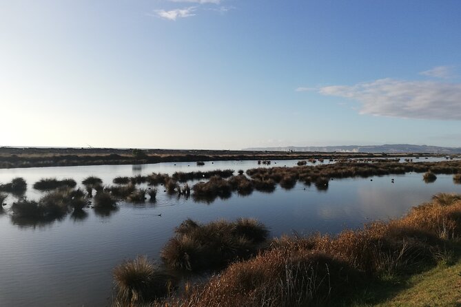 Great Escape Self-Guided Scenic Cycle Winery Tour from Napier - Following the Tukituki River toward the vineyards