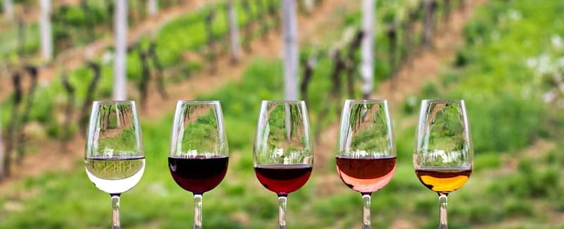 Guadalupe Valley: Complete Wine Route - Why the Guadalupe Valley makes a good wine day