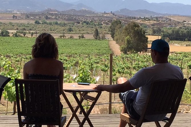 Guadalupe Valley Wine Route Tour in Baja California - What the experience does especially well