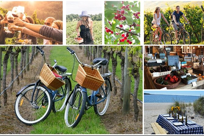 Guided Farm and Wine Country Bike Tour in Mattituck NY - Five reasons this North Fork bike tour is worth a look