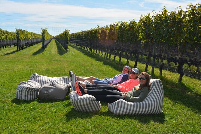 Guided Farm and Wine Country Bike Tour in Mattituck NY - What the 10 a.m. start feels like