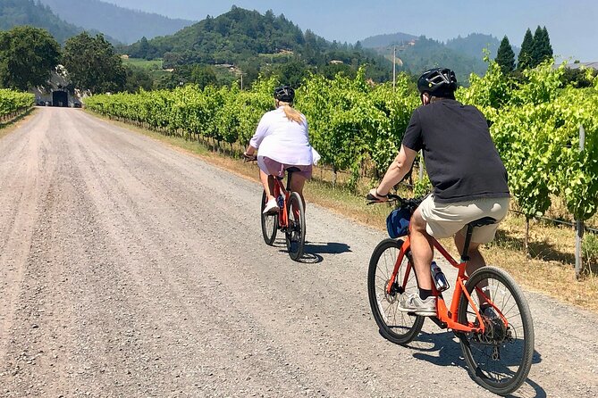 Guided Healdsburg Wine Country Bike and Wine Tasting Tour with lunch - Key details before you book